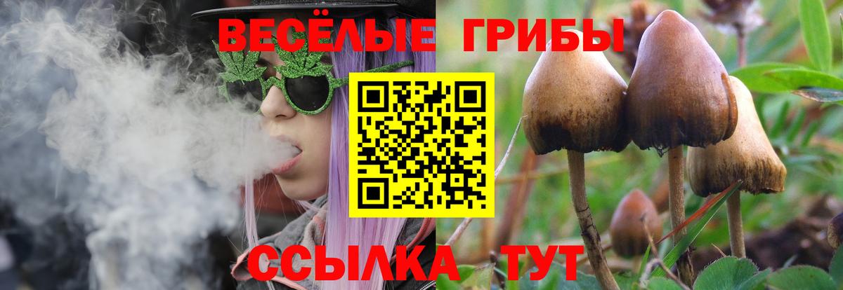 Галлюциногенные грибы Magic Shrooms  Вход с VPN  Галлюциногенные грибы Magic Shrooms  Дедовск 