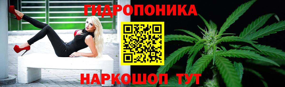 Бошки Шишки сатива Дедовск